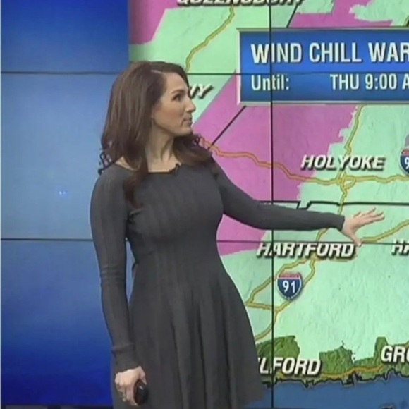 Elizabeth and James
Granite Flare Dress size Medium - Picture 5 of 11